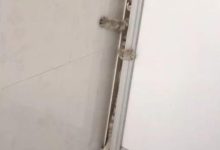 喵星人太粘人，連鏟屎官在上廁所的時間都不願意放過，簡直令人哭笑不得啊！-頭條楓林網