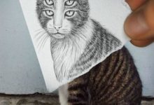 有趣的鉛筆素描和藝術作品-頭條楓林網