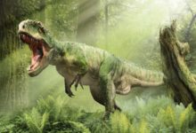 地球史上最厲害的掠食者，比霸王龍更大、更兇猛！-頭條楓林網