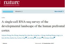 中國腦計劃重大進展：首度解碼人腦“中央處理器”，腦細胞圖譜領先美國-頭條楓林網