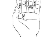 簡單的上海探戈漫畫，簡單易懂-頭條楓林網