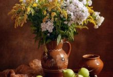 靜物攝影欣賞，給您不一樣的視覺感受-頭條楓林網