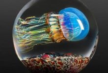 玻璃製成的美麗水母雕塑-頭條楓林網