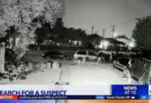 警察正在追捕一名在其主人前院吠叫的德國牧羊犬-頭條楓林網