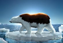 科普：有哪些我們知道的氣候變暖知識，是假的？-頭條楓林網