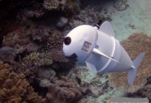 這條“機器魚”會成為探索海洋的新工具嗎？-頭條楓林網