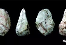 史上最早的航海家-頭條楓林網