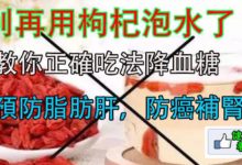 別再用「枸杞泡水」了！專家說吃錯了，教你「正確吃法」降血糖、預防脂肪肝，防癌補腎！配上「四種食物」功效翻倍！-頭條楓林網