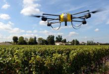 大疆王朝和他殺不死的敵人-頭條楓林網