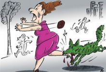 懷孕期間打狂犬病疫苗安全嗎？-頭條楓林網