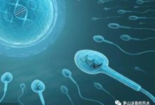 一滴精十滴血-頭條楓林網