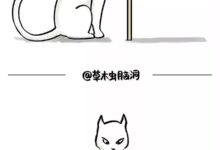 眼前的無趣，都被畫成笑抽的瞬間-頭條楓林網