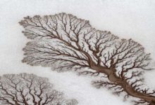 35張真的沒有PS過的真實照片-頭條楓林網