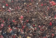 “五一”出行避堵指南，別把時間浪費在堵車上！-頭條楓林網