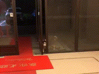 好有文化！這隻汪竟然懂得「等價交換」原理…-頭條楓林網