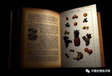 科學家為腸道細菌編寫分子食譜-頭條楓林網