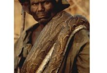 一根木棍換來一條新圍巾，但看著怎麼覺得全身瑟瑟發抖！-頭條楓林網