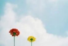 孩子兩歲了,我還深陷孤獨抑鬱中……-頭條楓林網