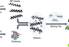 深圳先進院成功製備鈣鈦礦/黑磷低維複合納米材料-頭條楓林網