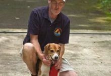 民眾目擊「殭屍浣熊」出沒-頭條楓林網