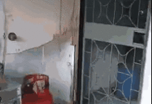 狗子把門啃爛了，主人拿起棍子卻對它親親抱抱？-頭條楓林網