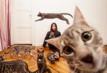 《華麗志》專訪設計師孫大為：從法國高級時裝屋歷史上第一位華人創意總監，到自創品牌DAWEI-頭條楓林網