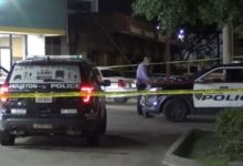 凌晨發生在博物館區的事故-頭條楓林網