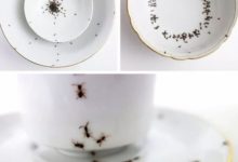 設計師你出來！我們談談！-頭條楓林網