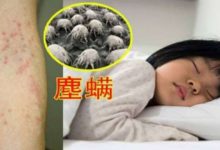 洗床單加點這個，只需要1分鐘就能清除99％的蟎蟲！-頭條楓林網