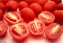 預防胃癌多吃5種食物！-頭條楓林網