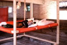 超大的吊床配木製框架可容納8人-頭條楓林網