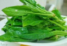 盡情吃吧！這些吃多少都不會發胖的蔬菜！-頭條楓林網