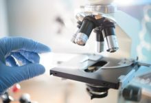 在上海搞科研，小年輕大有獲得感！當然，還有一些小建議……-頭條楓林網