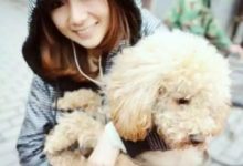 剛剛做好蛋炒飯，一轉頭，裡面多了坨貓屎！卧槽，貓咪你是要給我加菜嗎？-頭條楓林網