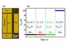 金剛石基邏輯電路：尺寸更小、更耐高溫！-頭條楓林網