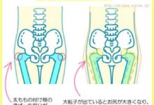 朋友以為我跑去抽脂，其實我只是學會這三招就讓屁屁整個瘦下來！-頭條楓林網