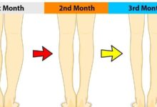 每天6個動作~下盤馬上瘦下來~~堅持做7天你就知道-頭條楓林網