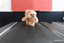 為了你的錢包，一定要做到這些事-頭條楓林網