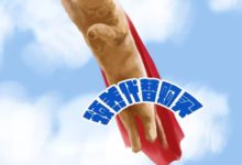 「我們在這裡~」第五十七屆北京領養日未到場狗狗推送-頭條楓林網