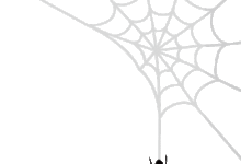 設計乾貨|聊聊設計師玩轉​Sketch​的那些事兒-頭條楓林網