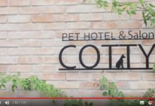 日本一家三口5年里飛了12次非洲，竟是為了代購毒品30公斤…-頭條楓林網