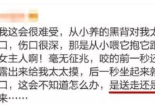 突然被自家狗咬了一口，要不要把狗丟掉？-頭條楓林網