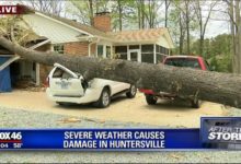 強風暴來襲，生日慶祝活動毀於一旦-頭條楓林網