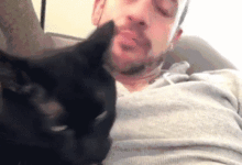 來來來，貓大哥告訴你什麼叫氣勢-頭條楓林網