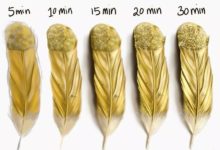 畫一幅畫要多少時間呢？3分鐘？5分鐘？10分鐘……-頭條楓林網