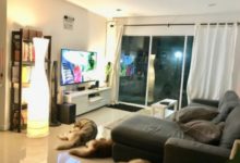 朋友出差，網友自告奮勇照顧他家三隻哈士奇，結果第二天網友懵了-頭條楓林網