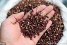 花椒泡水的作用，遠不止這4個，就看你能不能充分利用-頭條楓林網