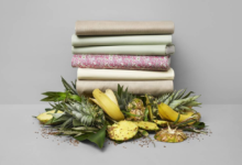 將農作物廢料轉化為紡織纖維：Circular System s榮獲H&M基金會年度變革獎-頭條楓林網