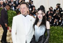 這個姑娘靠一個常人看不懂的段子，俘獲了鋼鐵俠馬斯克的心-頭條楓林網