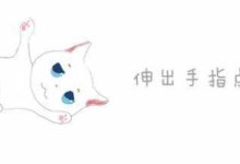 老闆撿回兩隻田園犬，留在店裡卻變成了最受歡迎的小網紅！真棒-頭條楓林網